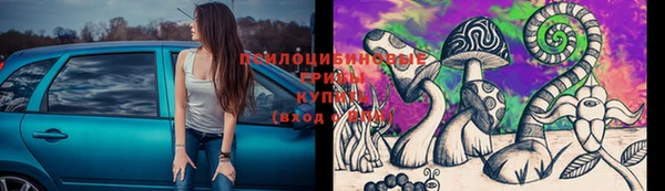 скорость Горняк