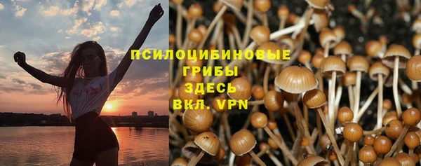 скорость Горняк